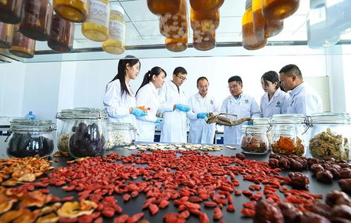 科技賦能，張掖植物工廠助力農特產品提質增效