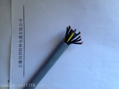 安徽潤(rùn)邦特種電纜 專業(yè)拖鏈電纜產(chǎn)品與報(bào)價(jià)指南